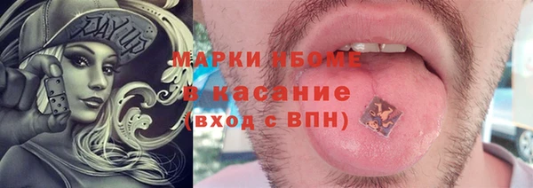 гидра Арсеньев