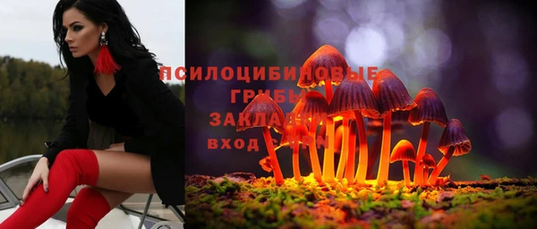 герыч Алзамай