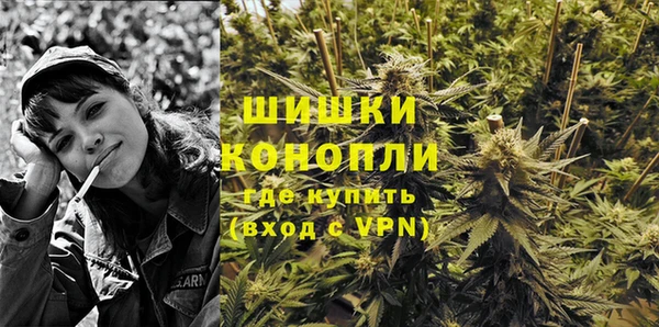 гидра Арсеньев