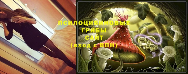 гидра Арсеньев