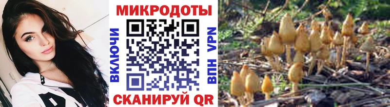 KRAKEN сайт  Краснослободск  Галлюциногенные грибы Magic Shrooms 